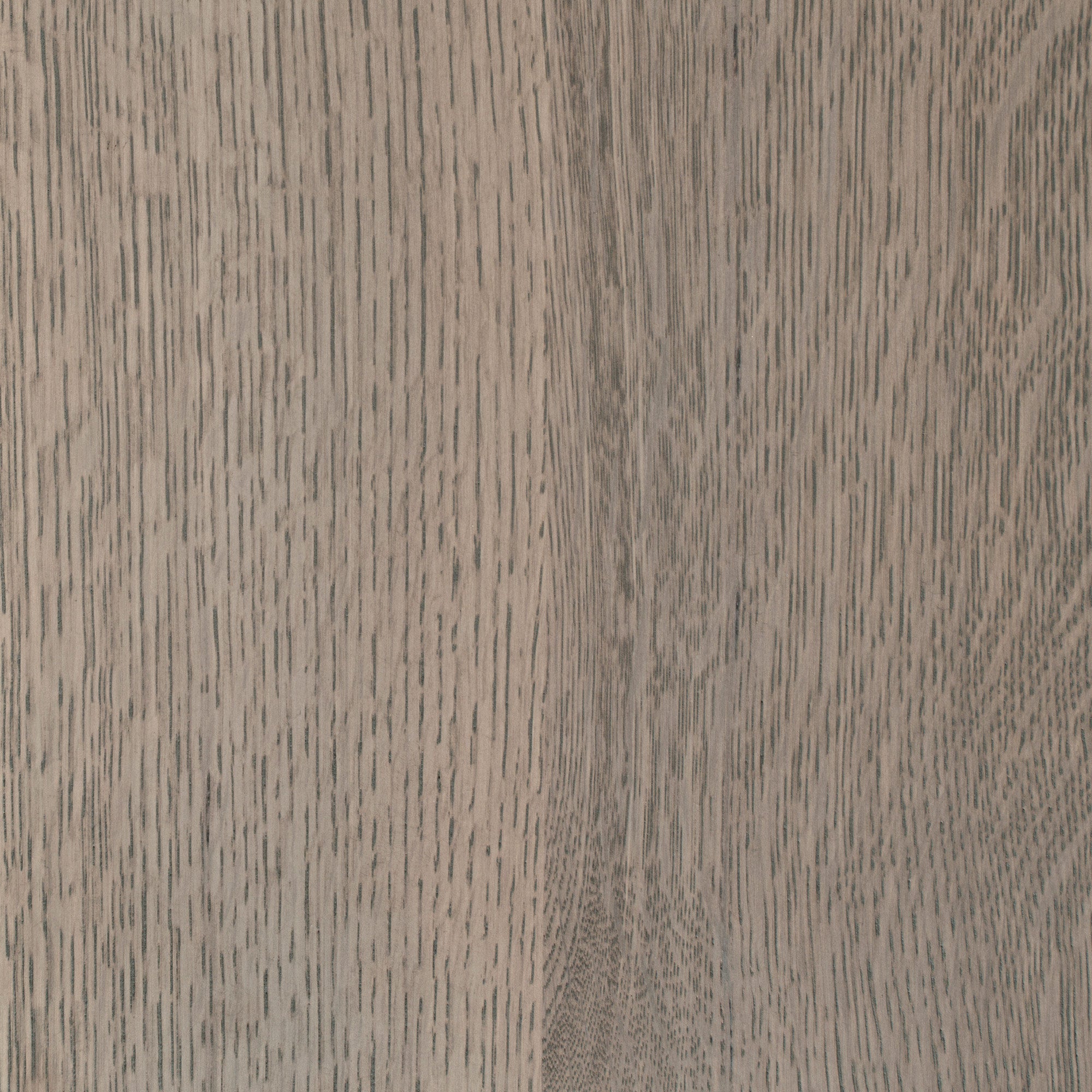 Ashen Oak