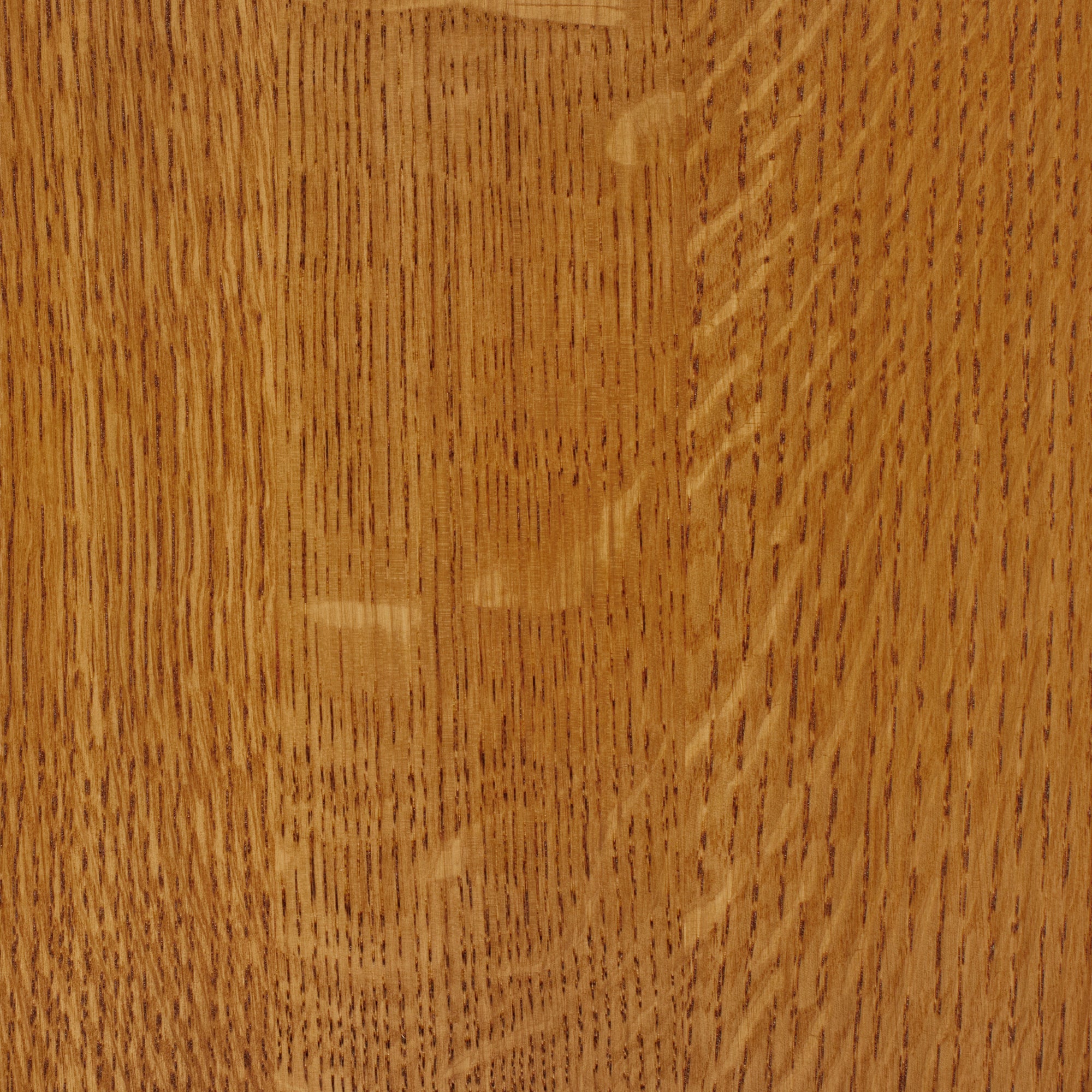 Golden Oiled Oak