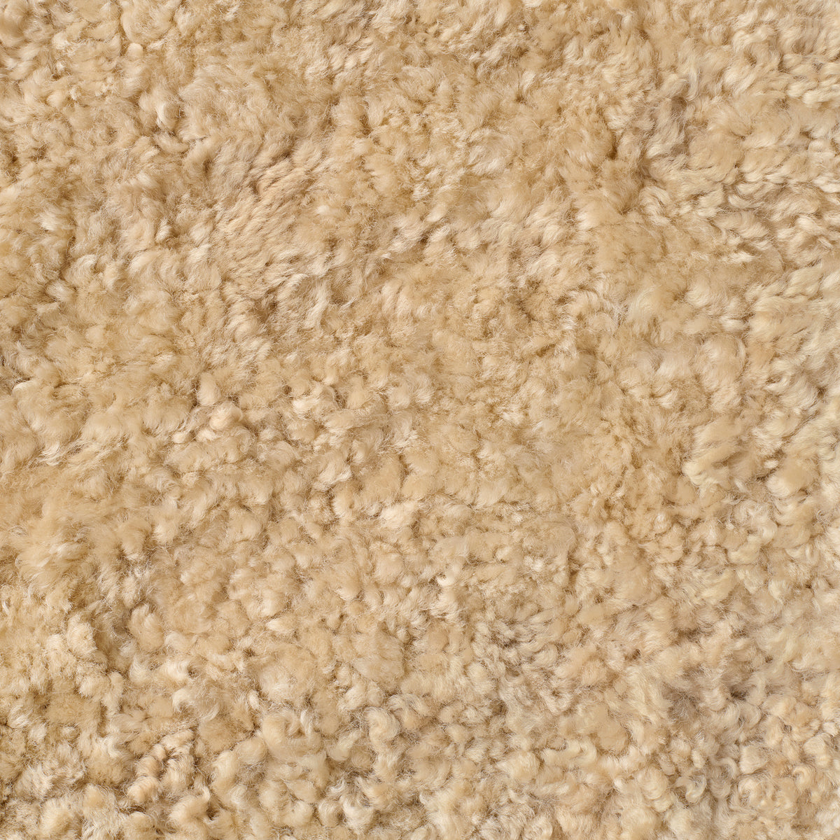 Toffee - Shearling