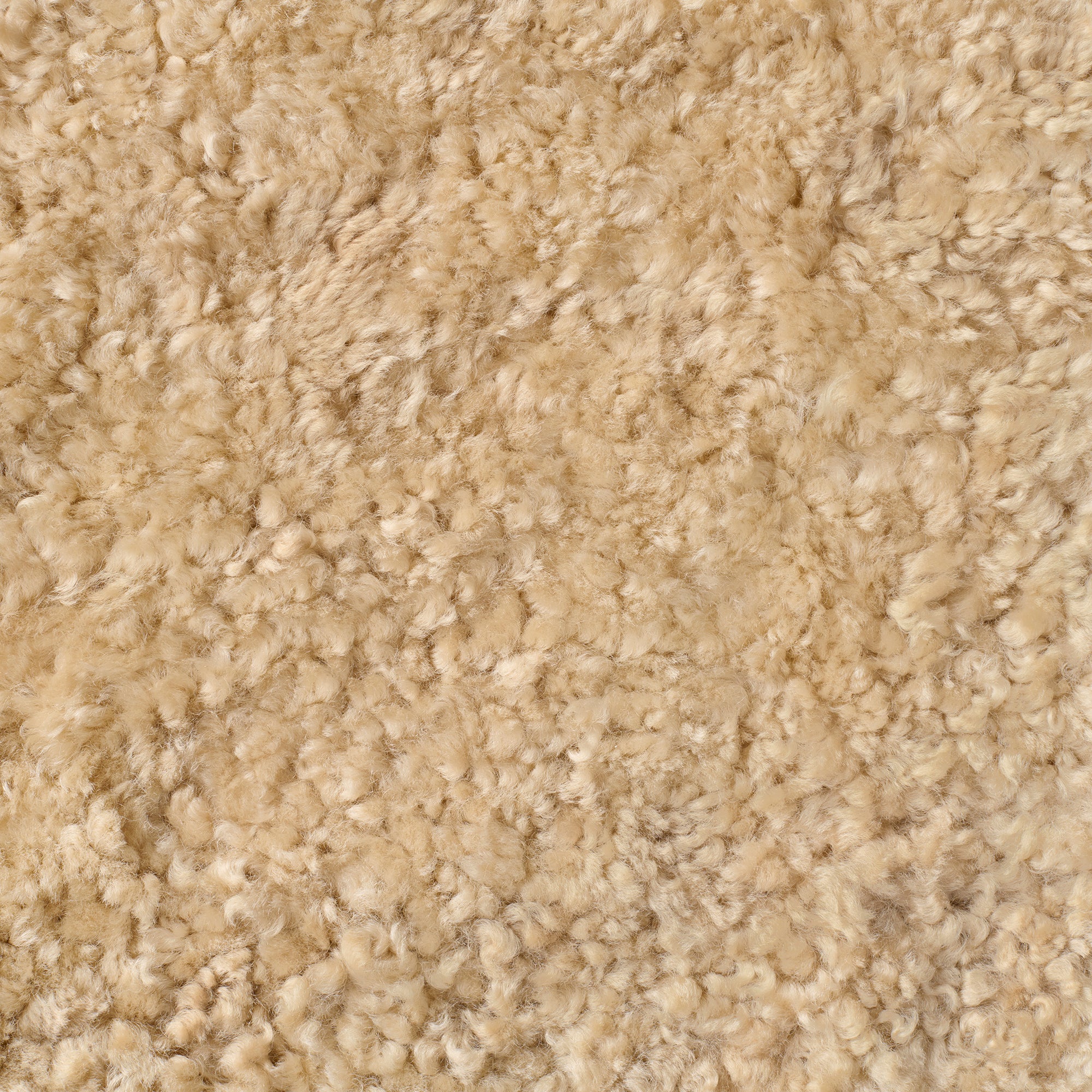 Toffee - Shearling