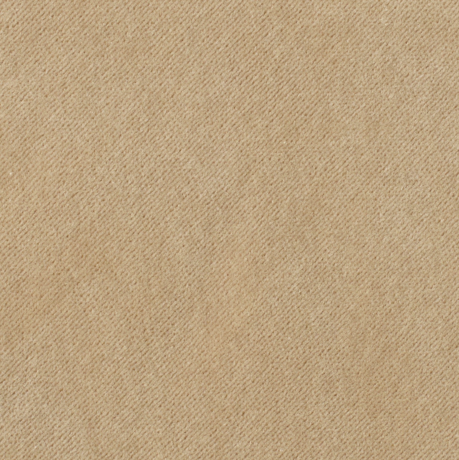 Taupe - Performance Velvet