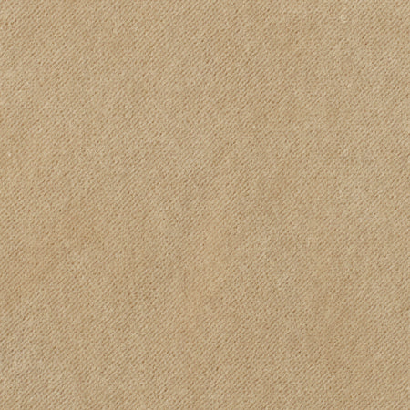 Taupe - Performance Velvet