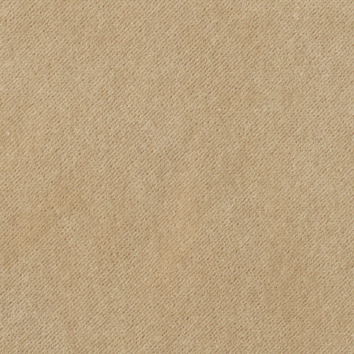 Taupe - Performance Velvet