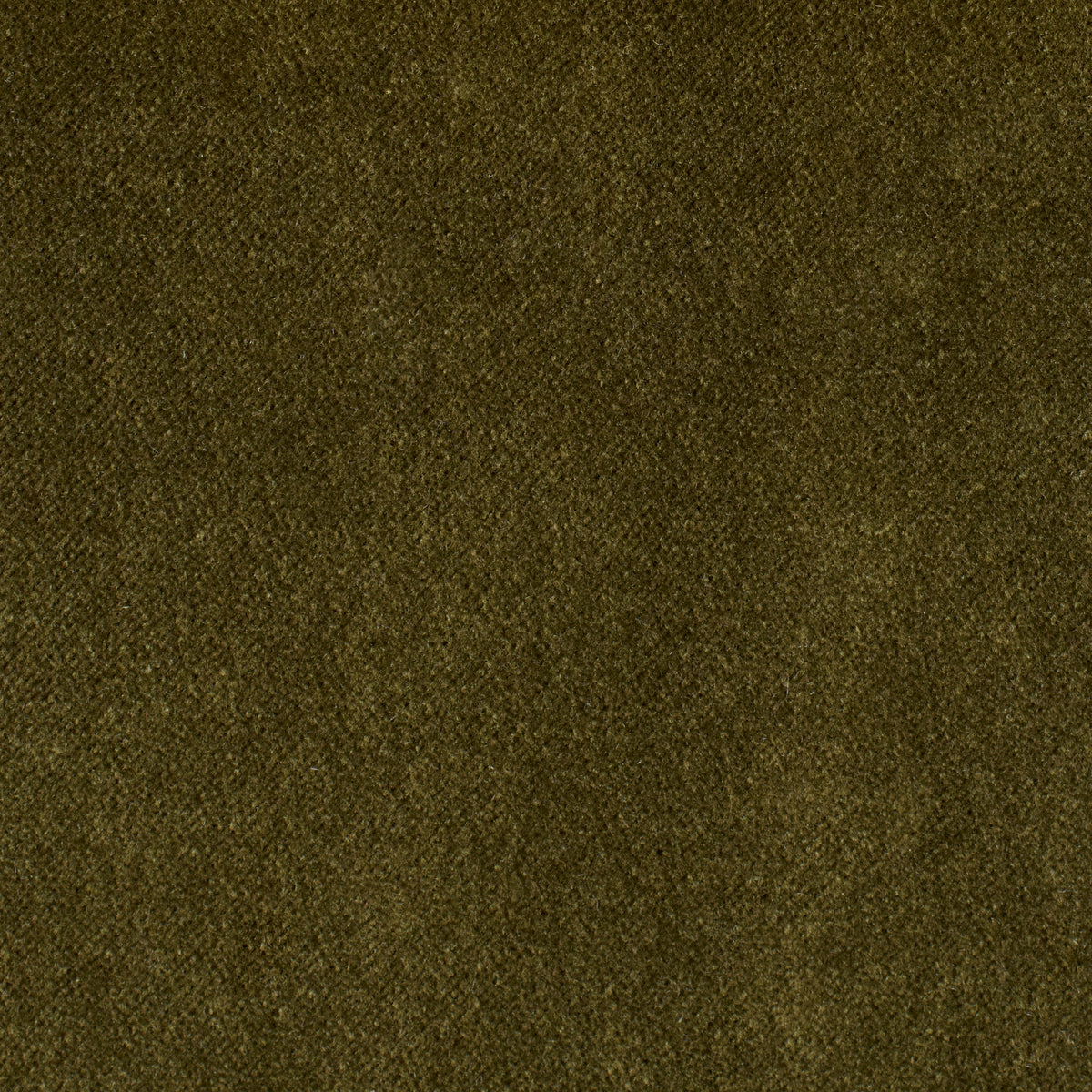 Olive - Performance Velvet