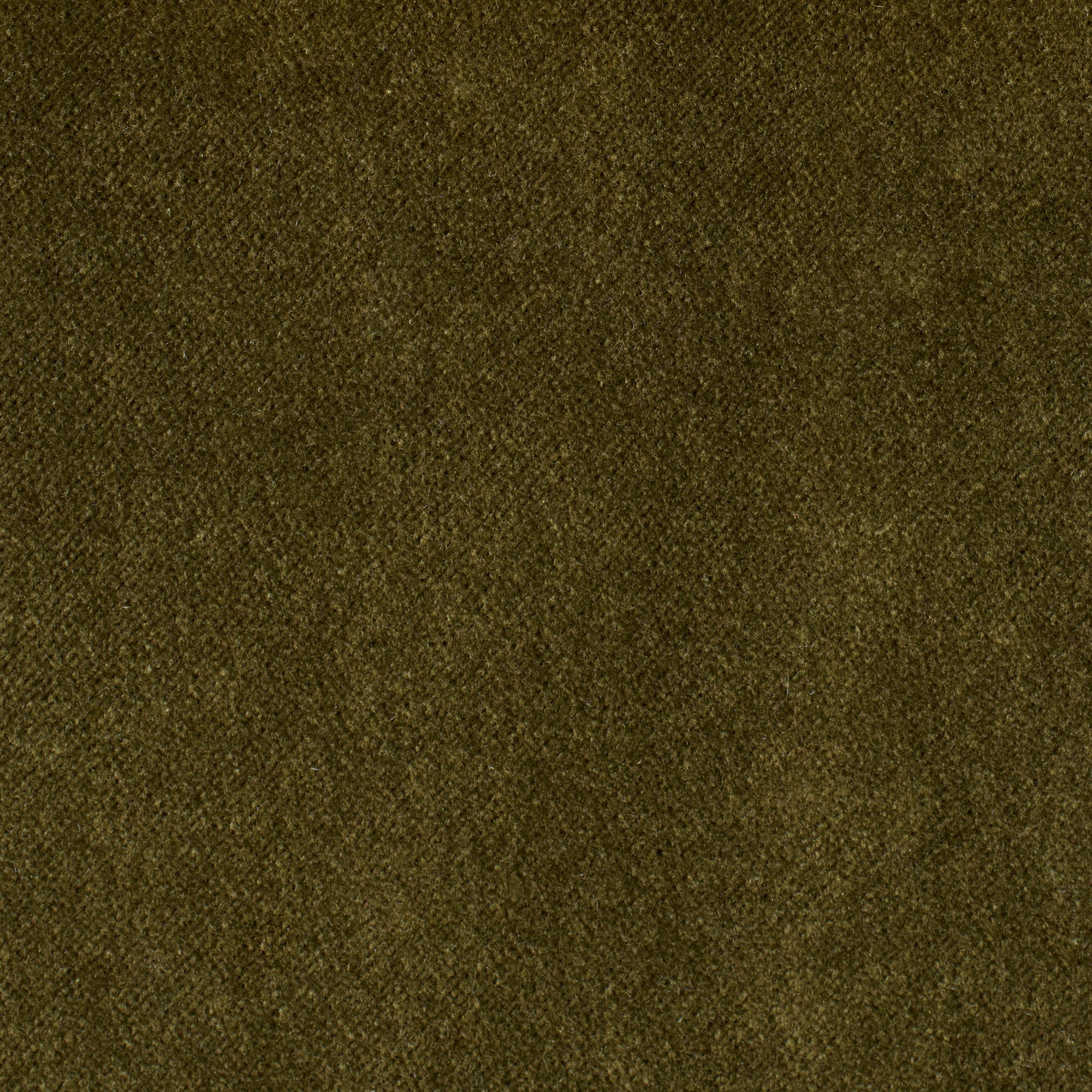 Olive - Performance Velvet