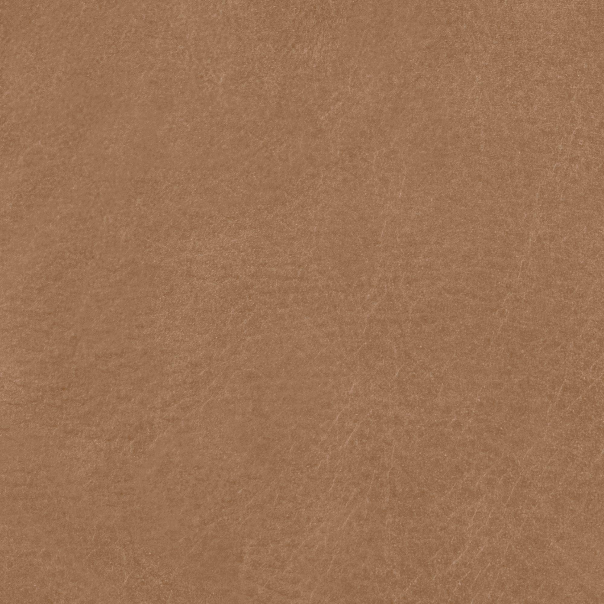 Camel - Tuscan Leather