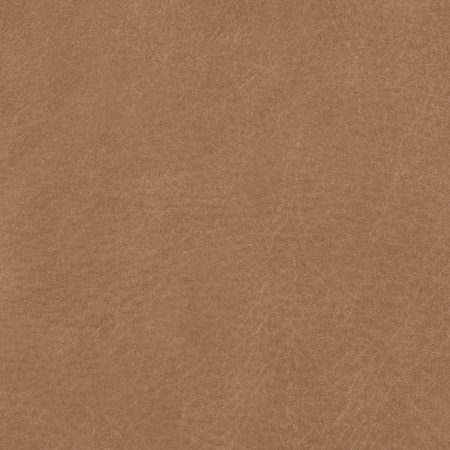 Camel - Tuscan Leather