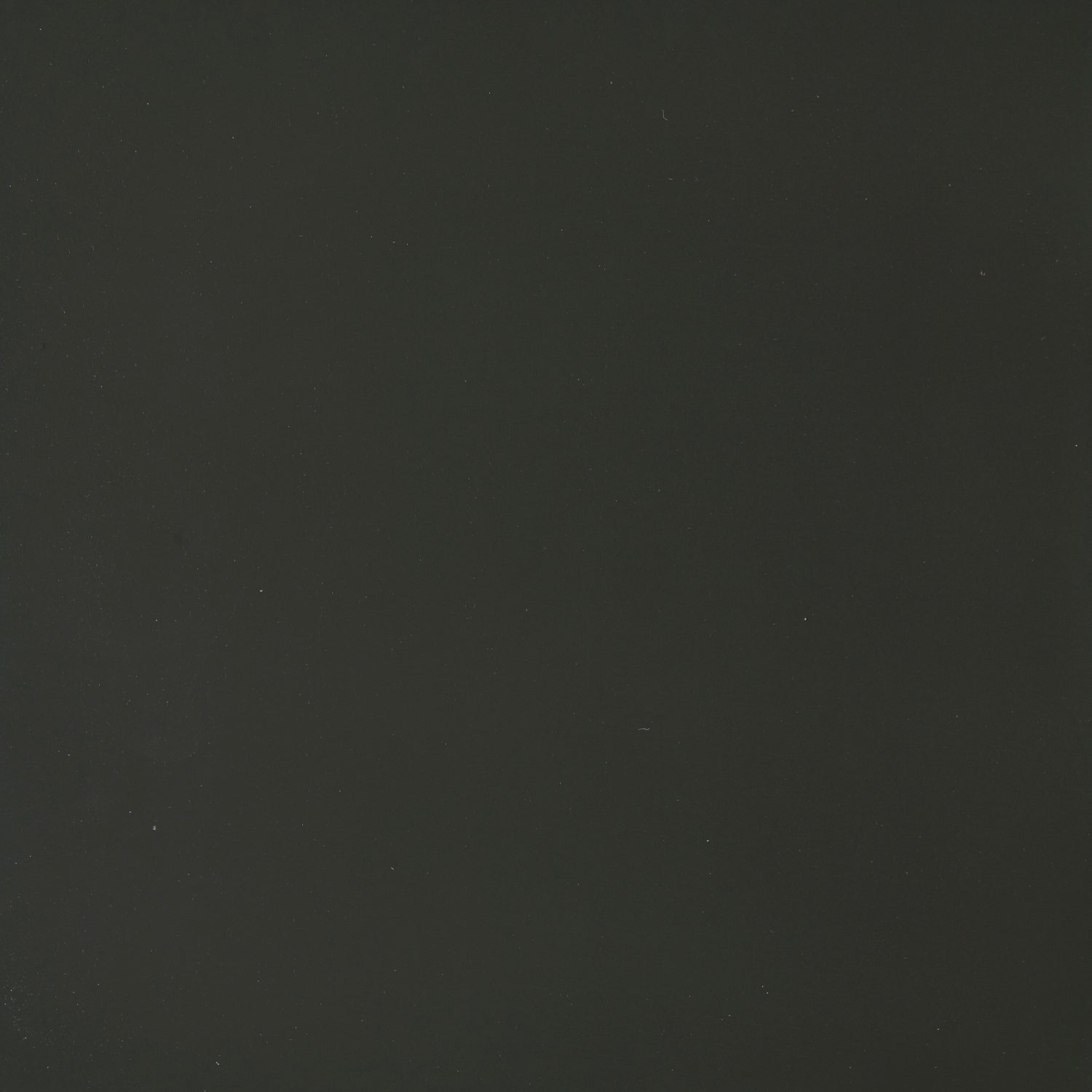 Fir Lacquer